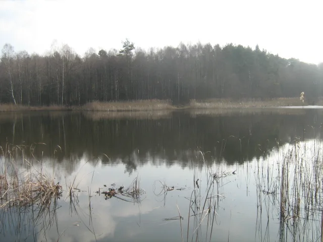 Czyn Wędkarski